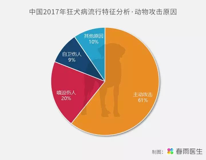 美国狂犬病最新研究成果