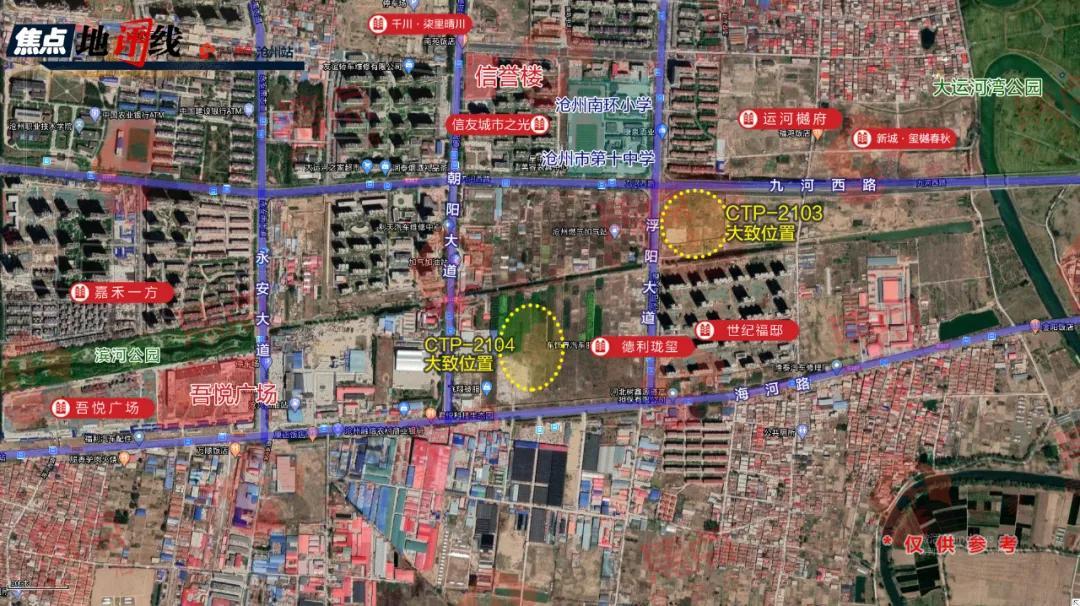 沧州九河路最新消息动态